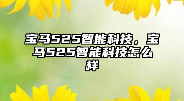 寶馬525智能科技,寶馬525智能科技怎么樣