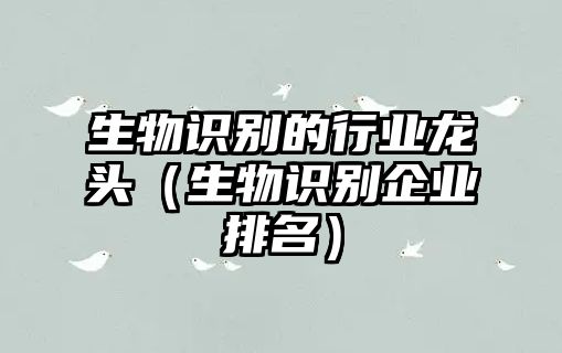 生物識別的行業(yè)龍頭(生物識別企業(yè)排名)